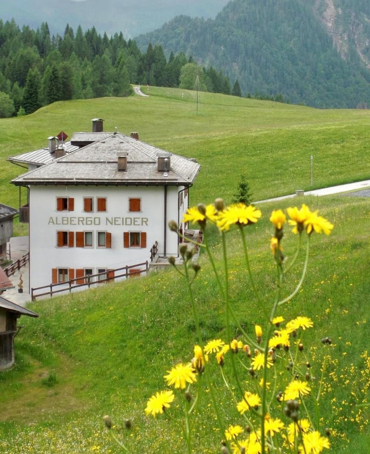 Neider Hotel - Alpine Retreat Sauris Bagian luar foto