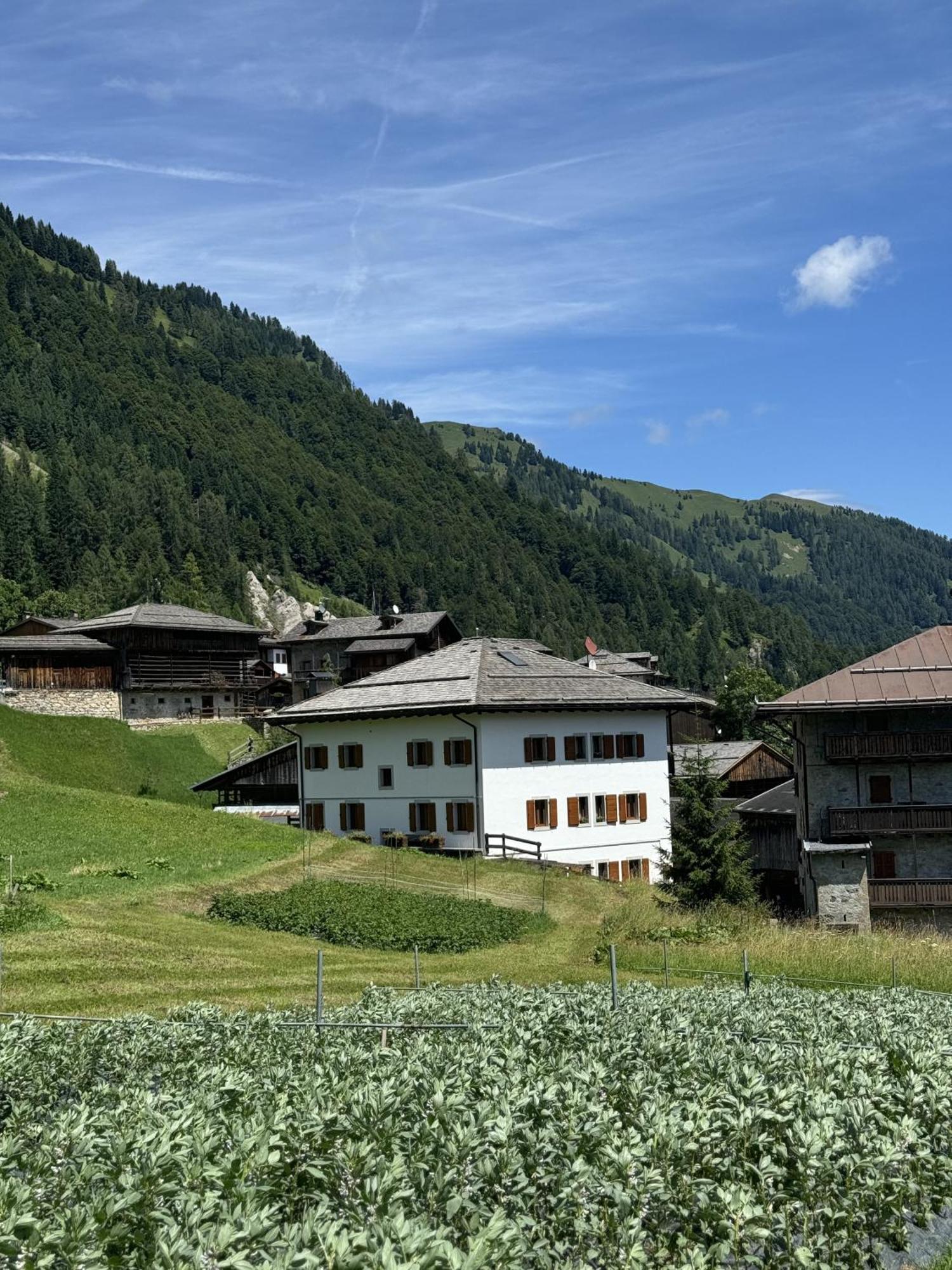 Neider Hotel - Alpine Retreat Sauris Bagian luar foto