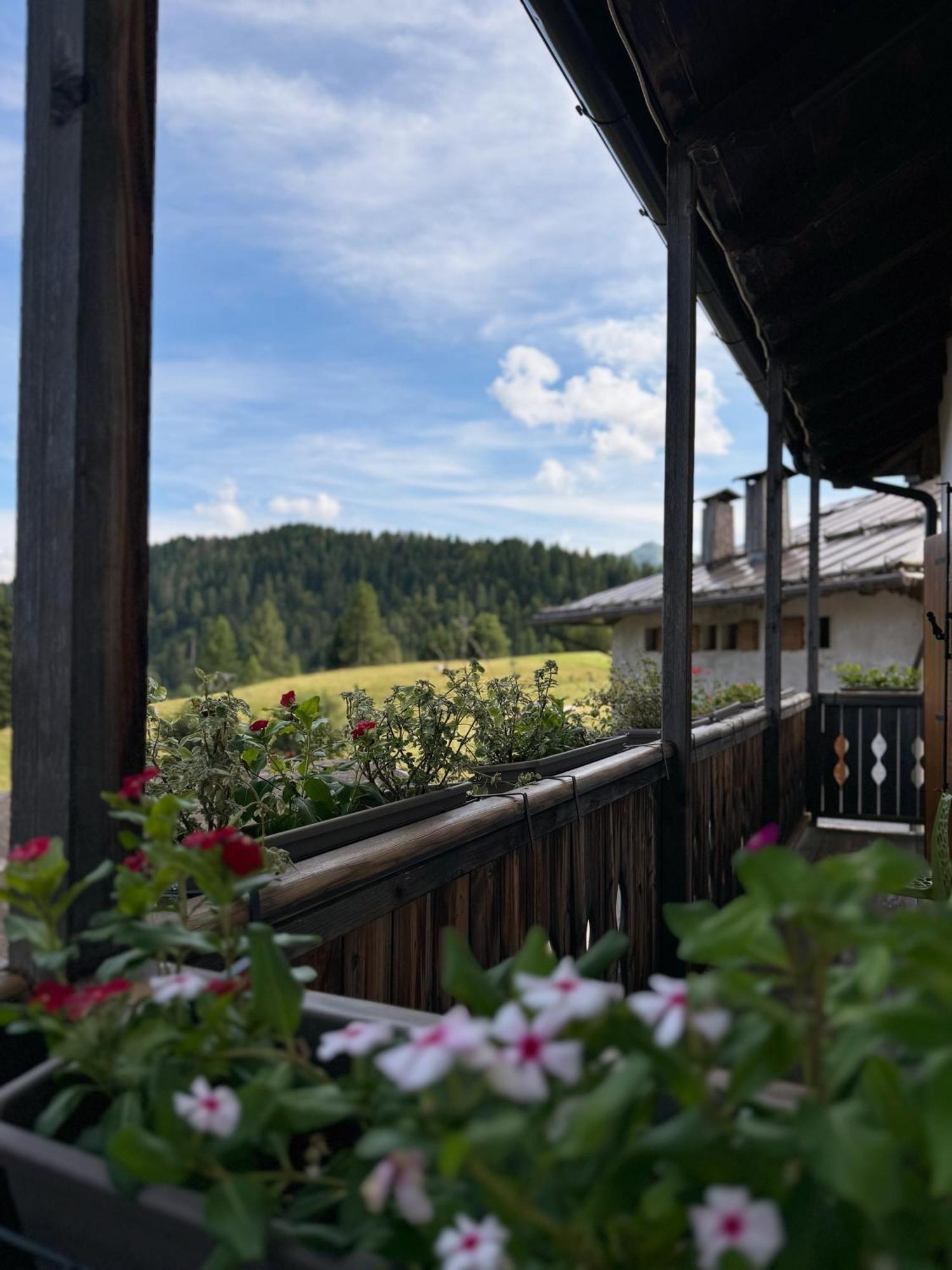 Neider Hotel - Alpine Retreat Sauris Bagian luar foto