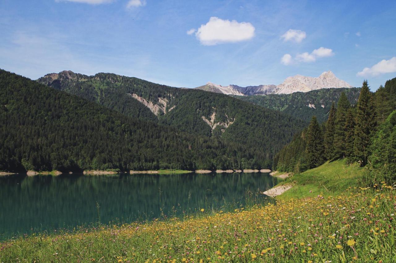Neider Hotel - Alpine Retreat Sauris Bagian luar foto